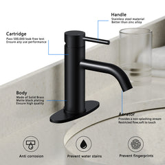 Single Handle Brass Bathroom Sink Faucet with Pop Up Drain Assembly and Water Faucet Supply Lines