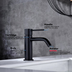 Black Single Hole Brass Bathroom Faucet with Pop Up Drain Assembly & Supply Hose